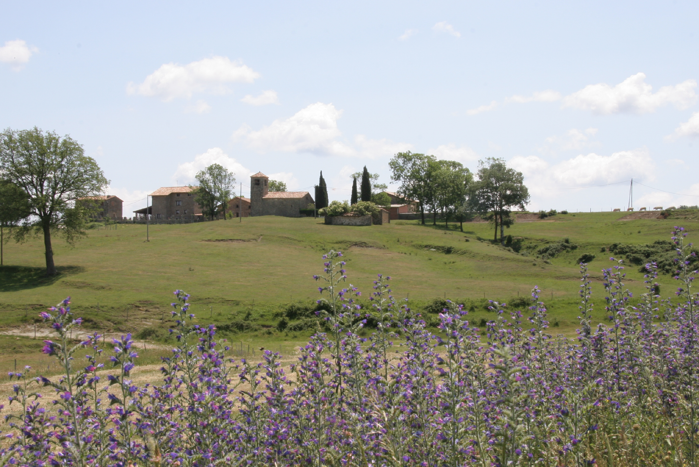 Suspesa la festa major de Falgars Web oficial de l'Ajuntament de La Suspesa la festa major de Falgars Web oficial de l'Ajuntament de La